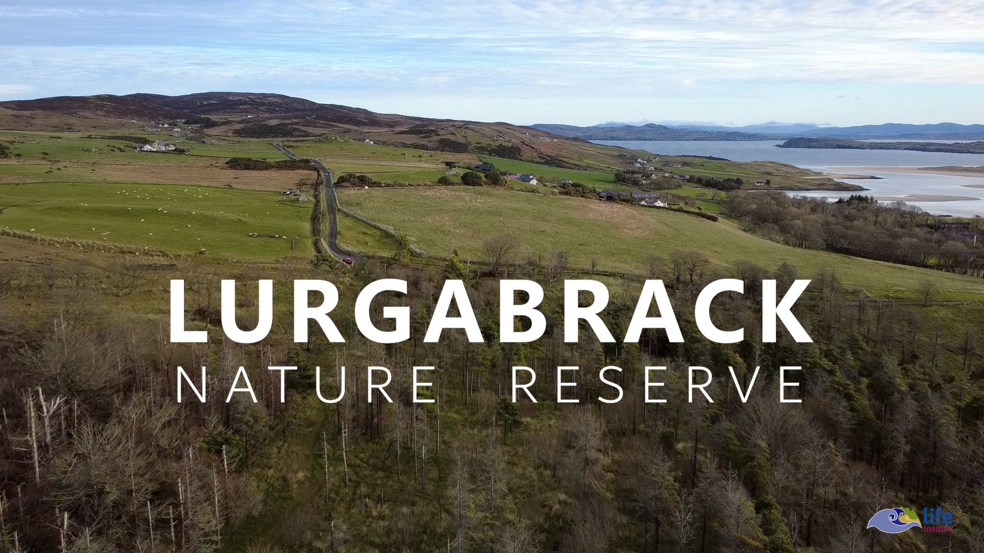 2026/01/19: Avaliación preliminar mediante voos de drones das zonas de LIFE INSULAR na ZEC Horn Head and Rinclevan (Irlanda)