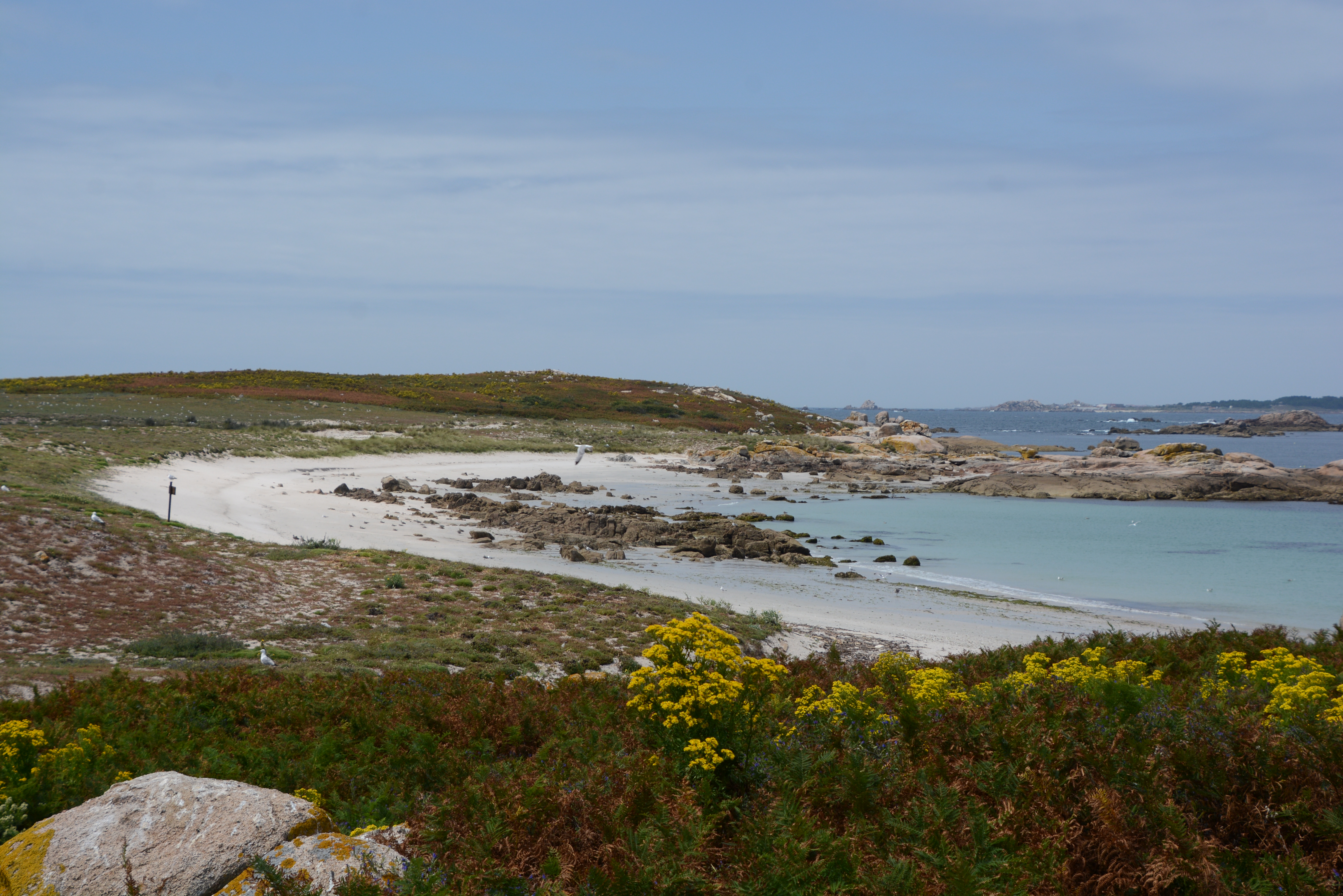 03/05/2025:  The  Galician Regional Government (Xunta de Galicia) offers environmental outreach activities in relation to the LIFE INSULAR project
