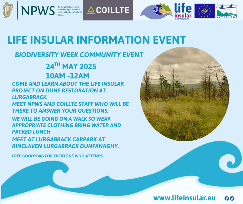 2025/05/24:  Informal talk about the project plans for the forested area at Rinclevan