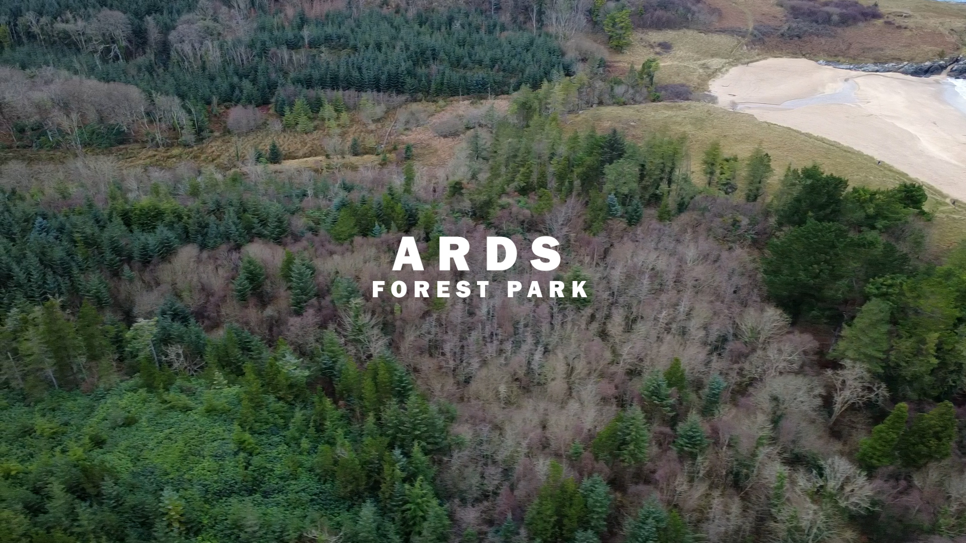 2026/03/09: Resultados preliminares a vista de dron no Ards Forest Park, na ZEC Sheephaven no Condado de Donegal (Irlanda)