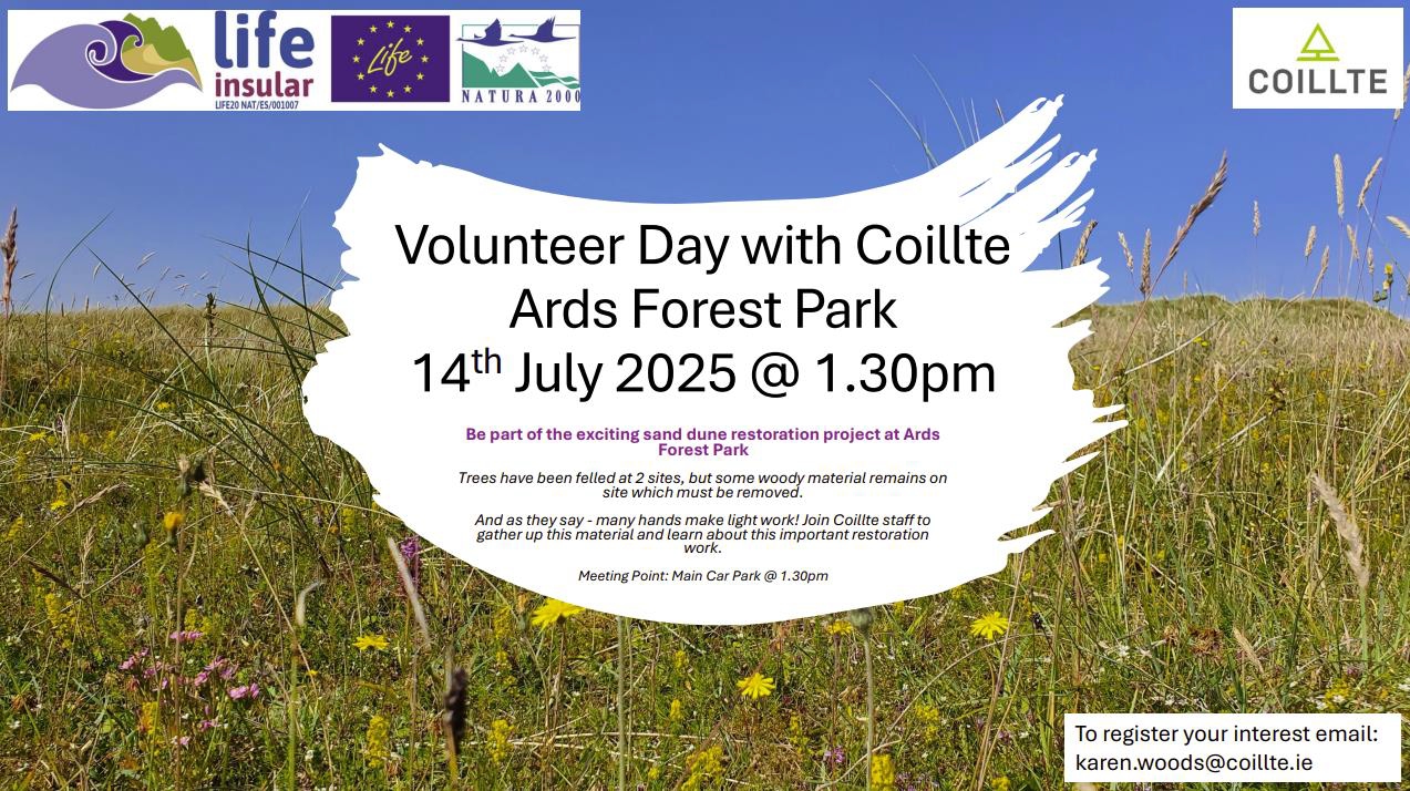 2025/07/14:  Día do voluntariado con Coillte en Ards Forest Park