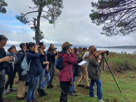 2024/11/11: Celebrado el curso Descubriendo las aves del PNMTIAG en la isla de Cortegada