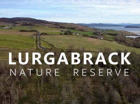 2026/01/19: Evaluación preliminar mediante vuelos con drones de las zonas de LIFE INSULAR en la ZEC de Horn Head and Rinclevan (Irlanda)