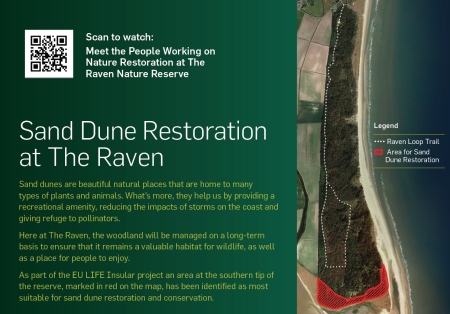 2023/09/05: Restauración de dunas en The Raven (otoño 2023 – primavera 2024)