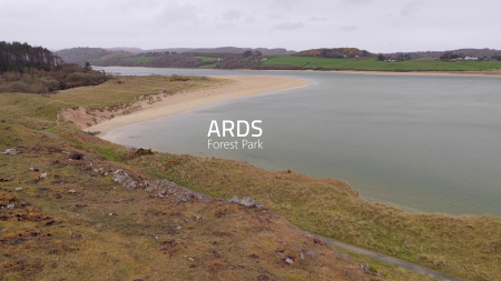 2026/06/15: Nuevos vuelos de dron para el seguimiento técnico de la restauración del proyecto LIFE INSULAR en Ards Forest Park (Irlanda)