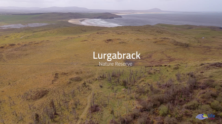 2026/06/16: LIFE INSULAR utiliza nuevos vuelos de drones para monitorear las acciones de restauración en Lurgabrack (Irlanda)