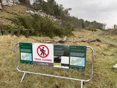 2025/04/16: Restoration and Conservation Efforts Underway at Ards Forest Park (Donegal, Ireland)