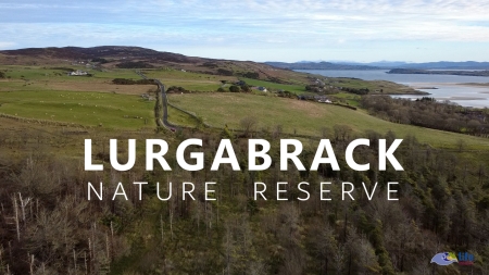 2026/01/19: Preliminary assessment by drone flights of LIFE INSULAR areas in the Horn Head and Rinclevan SAC (Ireland)