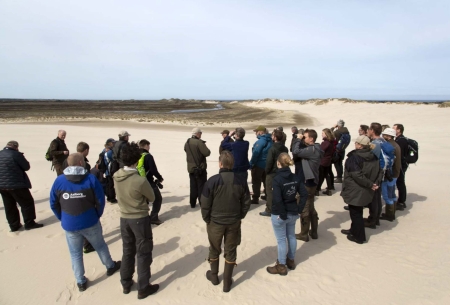 2023/06/22: LIFE INSULAR contributes on the updated Atlantic dune roadmap 