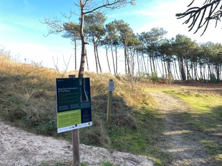 2023/01/26: Restoration Works Start at the Raven Nature Reserve, Co. Wexford