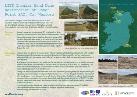 13/05/2025:  The Irish Government (DHLGH) and Coillte published two posters for use at networking events.
