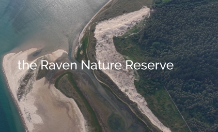 2025/10/18: Drone Footage of the Raven Life Insular 2025 post works