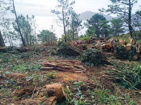 2025/11/17: Replication of the LIFE INSULAR methodology in the elimination of forest invasive formations in the Galician Atlantic Islands National Park 