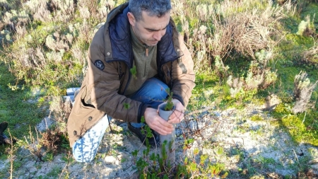 2026/03/20: Development of an innovative root elongation system to improve camariña restoration