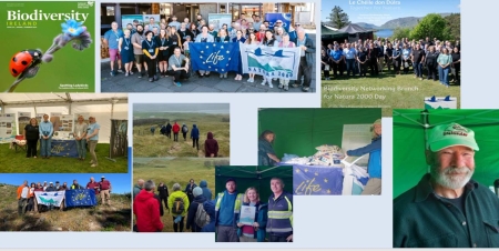 2025/12/19: LIFE INSULAR wishes you a Merry Christmas and a happy new year 2026