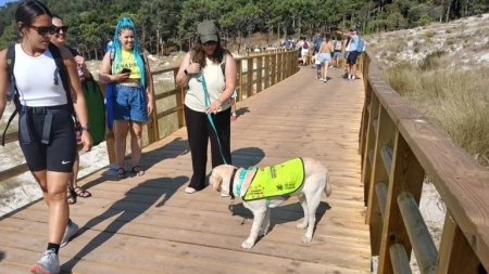 2026/08/20: The Cíes Islands, a learning setting for future guide dogs