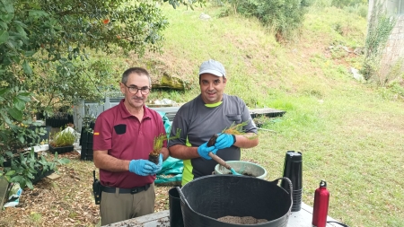 2025/07/21: Traslado da planta de LIFE INSULAR nas Cíes (Galicia) con AMICOS