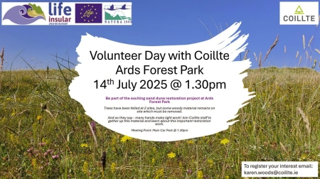 2025/07/14:  Día do voluntariado con Coillte en Ards Forest Park